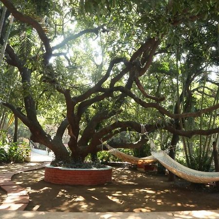 Outpost@Alibaug Hotel Alībāg Eksteriør billede