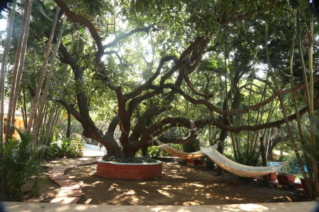 Outpost@Alibaug Hotel Alībāg Eksteriør billede